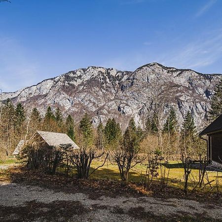 Holiday Home Kozorog Бохінь Екстер'єр фото